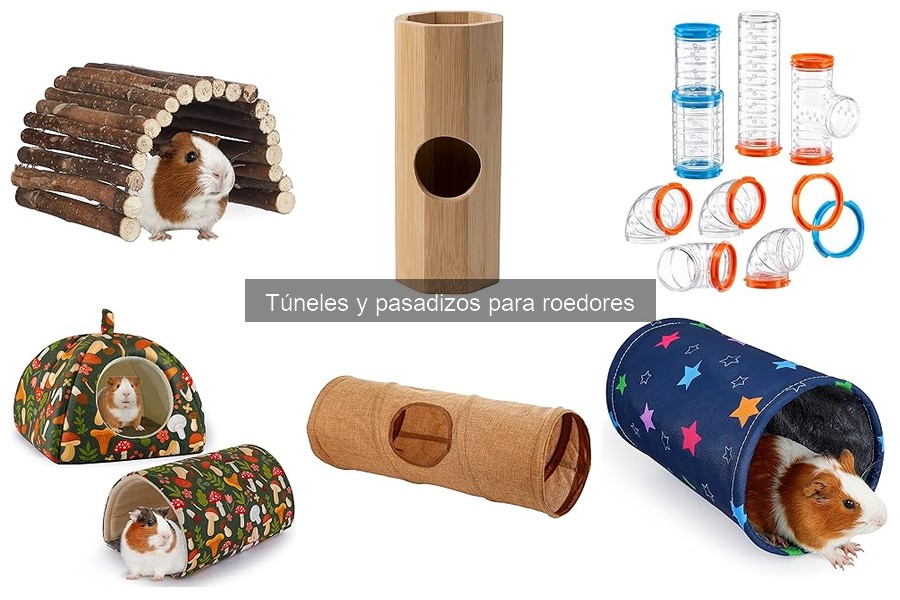 Ventajas de Usar Túneles para Roedores en Tu Hogar
