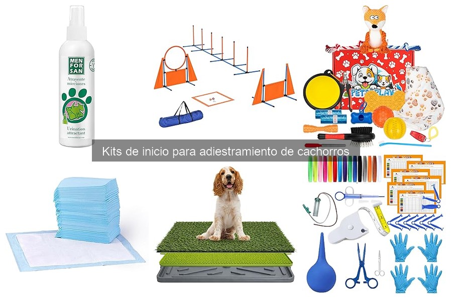 Ventajas de usar un kit de adiestramiento para cachorros