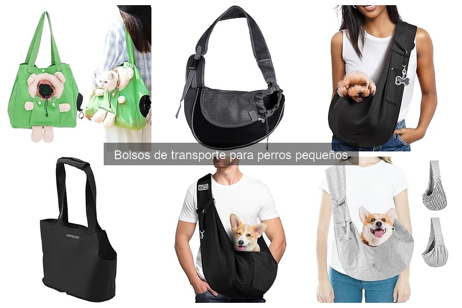 Ventajas del bolso de transporte para perros pequeños