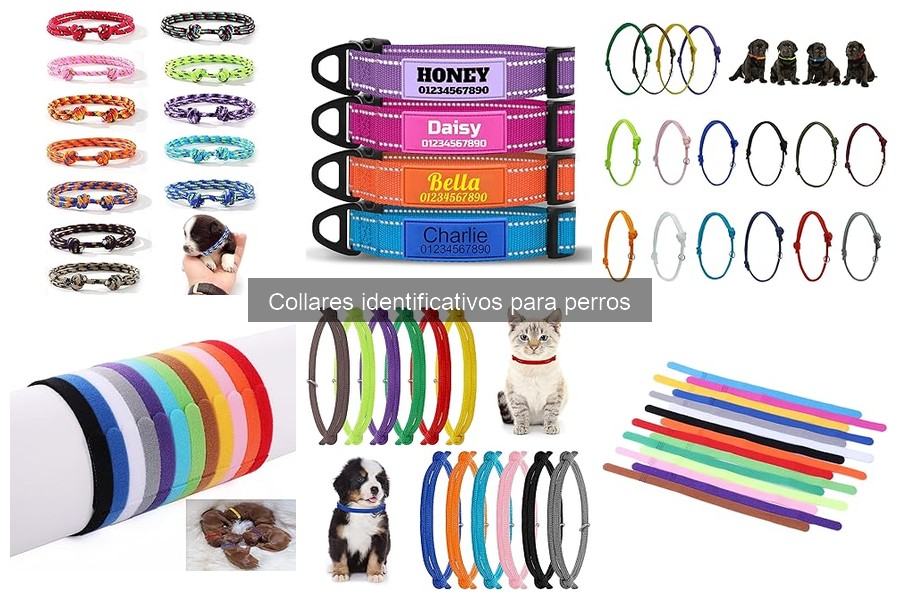 Ventajas del Collar Identificativo para Perros: Seguridad y Estilo