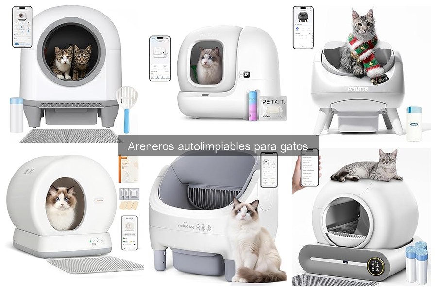 Ventajas y desventajas de areneros autolimpantes para gatos