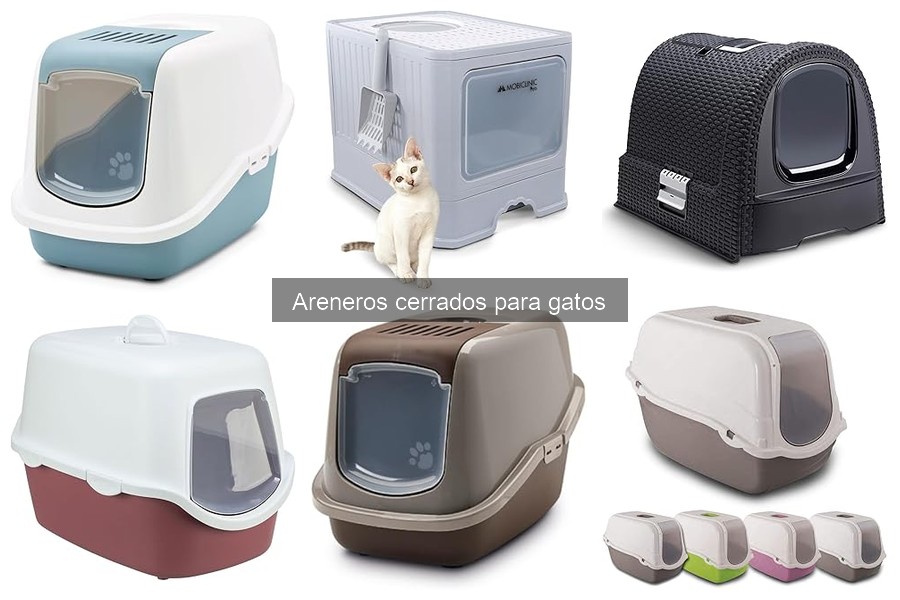 Ventajas y desventajas de areneros cerrados para gatos