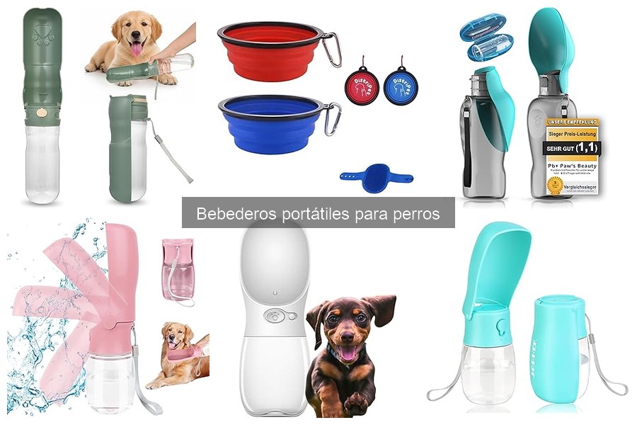 Ventajas y Desventajas de Bebederos Portátiles para Perros