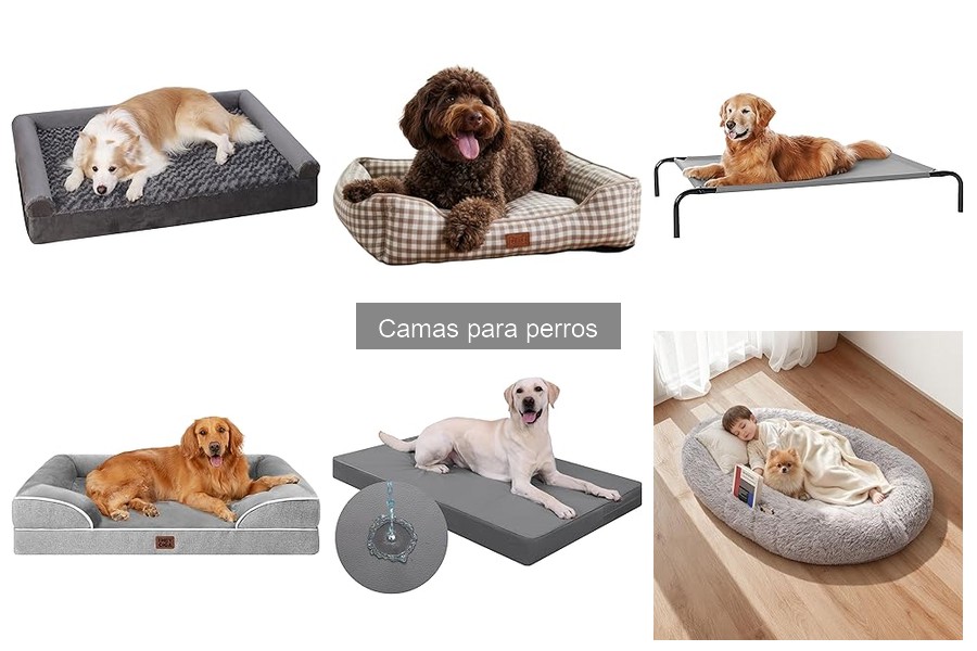 Ventajas y desventajas de camas ortopédicas para perros