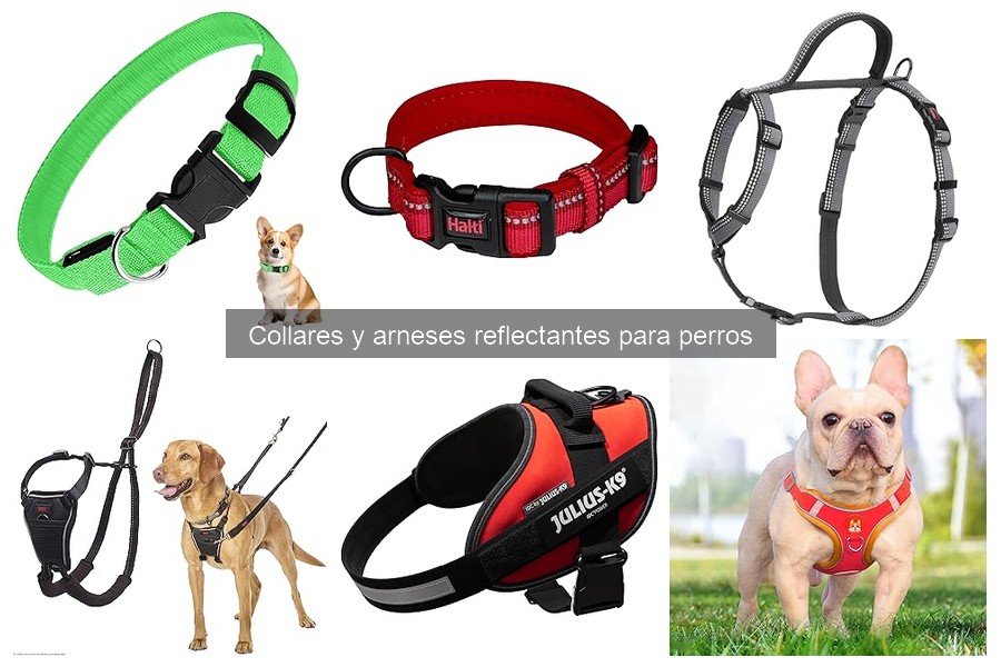 Ventajas y desventajas de collares reflectantes para perros