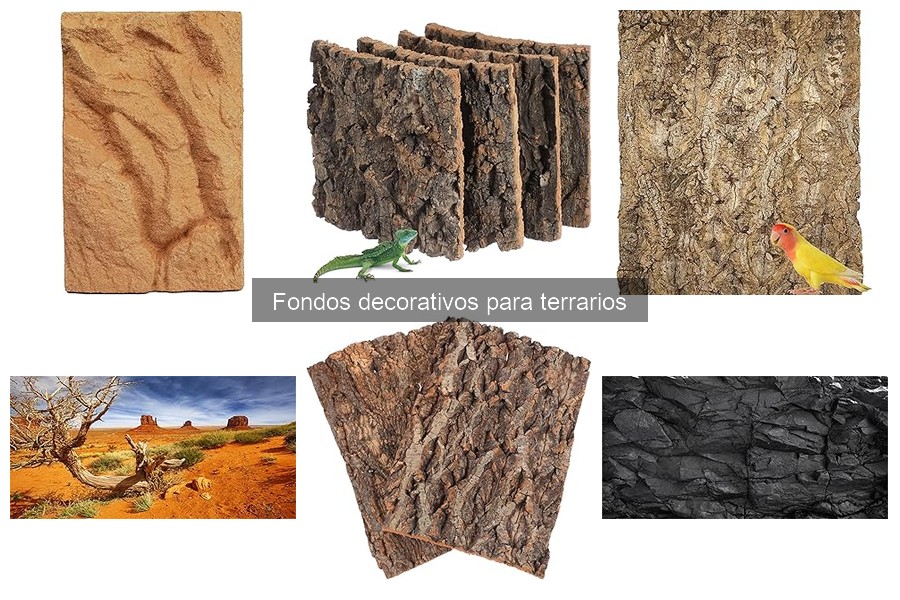Ventajas y Desventajas de Fondos Decorativos para Terrarios