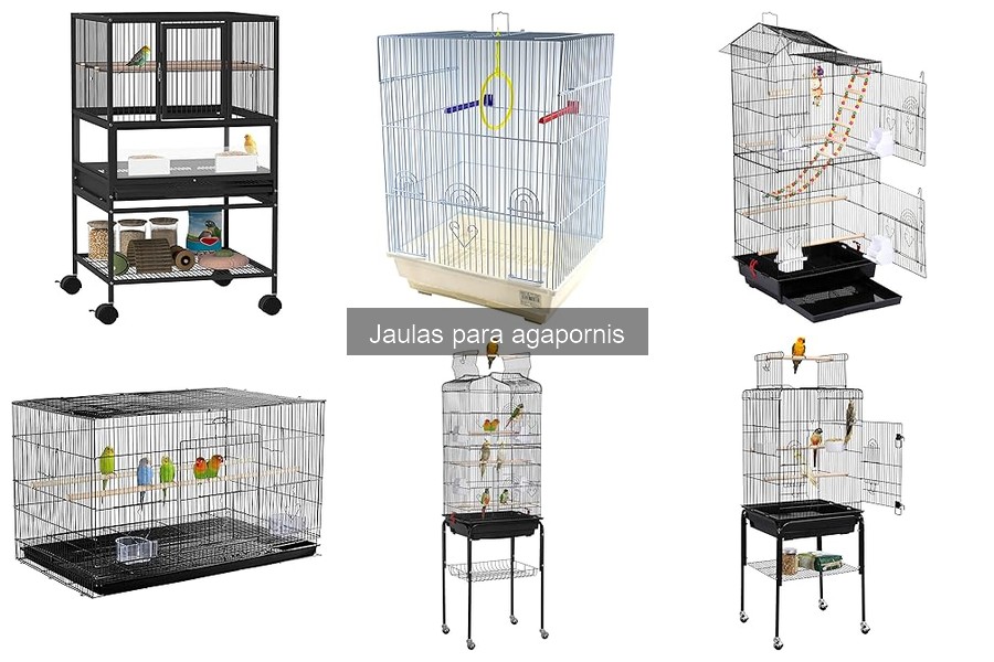 Ventajas y desventajas de jaulas de plástico y metal para agapornis