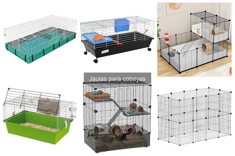 Ventajas y desventajas de jaulas para cobayas
