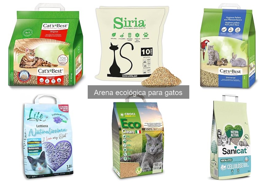 Ventajas y desventajas de la arena ecológica para gatos