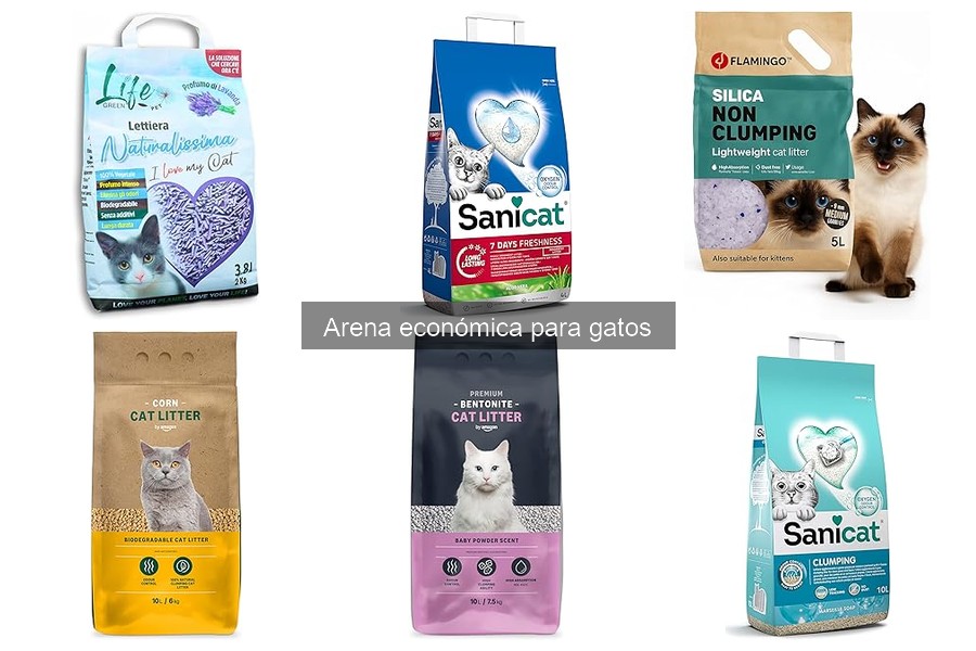 Ventajas y Desventajas de la Arena Económica para Gatos