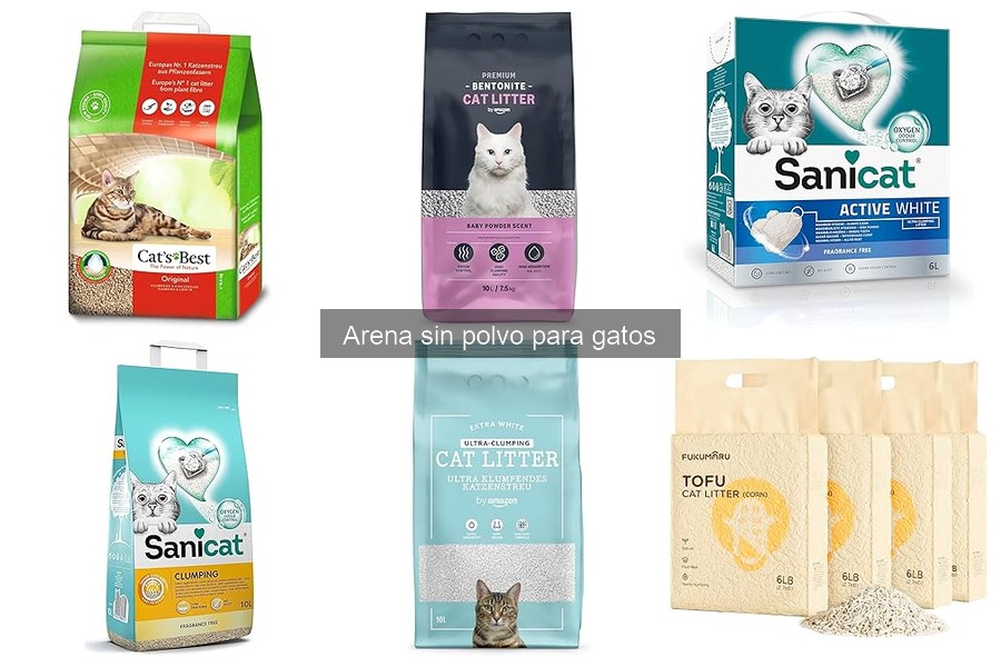 Ventajas y desventajas de la arena sin polvo para gatos