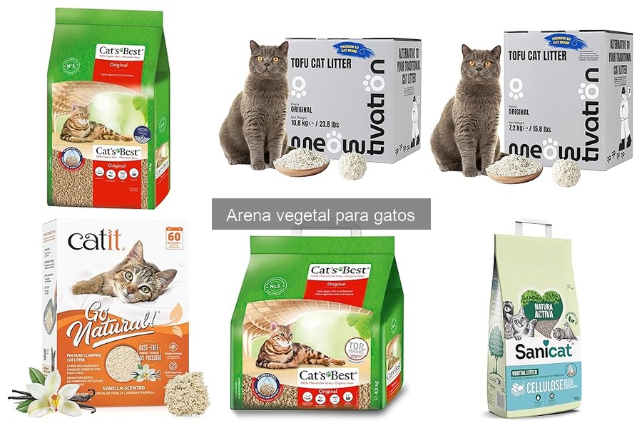 Ventajas y desventajas de la arena vegetal para gatos