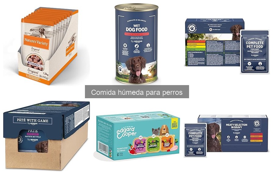 Ventajas y Desventajas de la Comida Húmeda para Perros