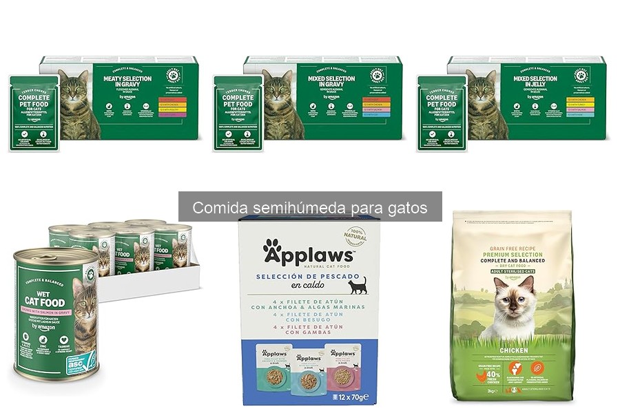 Ventajas y desventajas de la comida semihúmeda para gatos