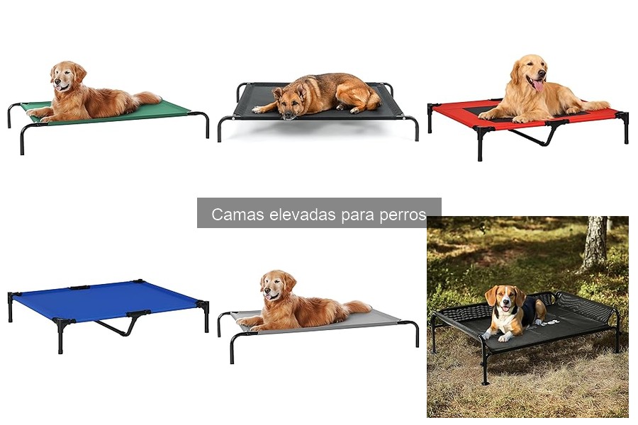 Ventajas y Desventajas de las Camas Elevadas para Perros