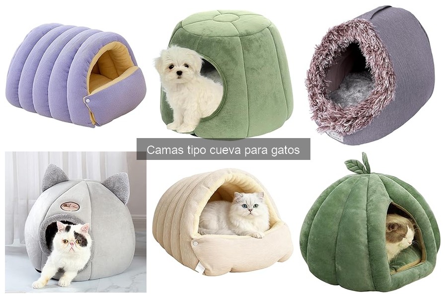 Ventajas y desventajas de las camas tipo cueva para gatos