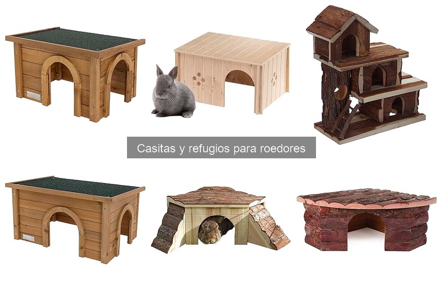 Ventajas y desventajas de las casitas para roedores