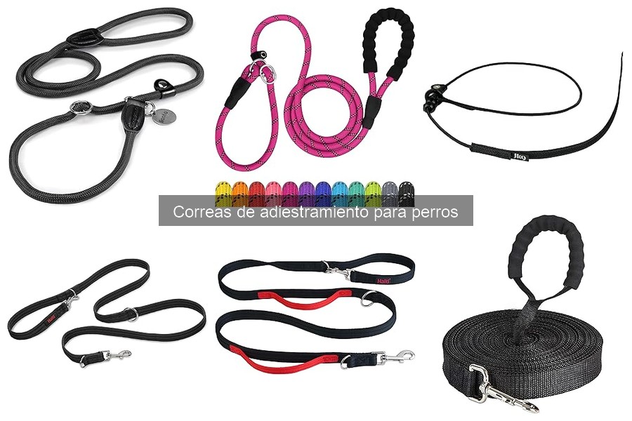Ventajas y Desventajas de las Correas de Adiestramiento para Perros
