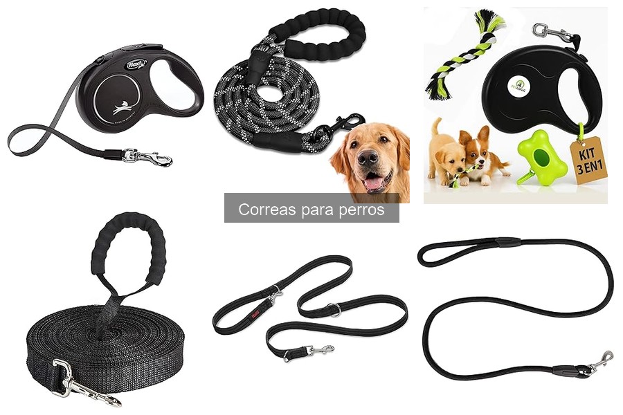 Ventajas y desventajas de las correas retráctiles para perros