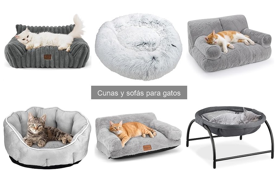 Ventajas y desventajas de las cunas para gatos