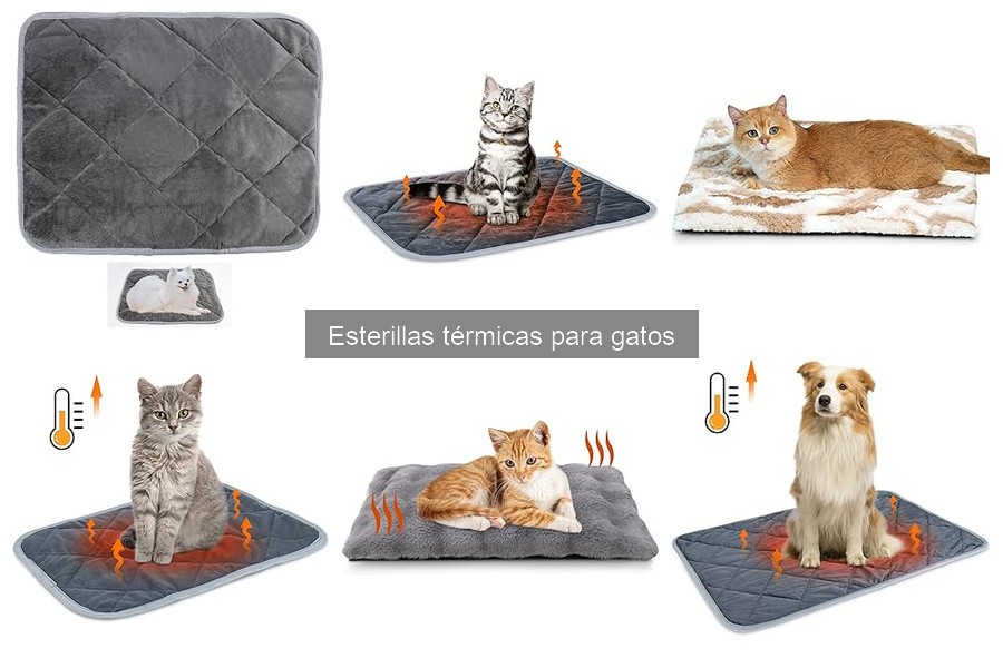 Ventajas y desventajas de las esterillas térmicas para gatos