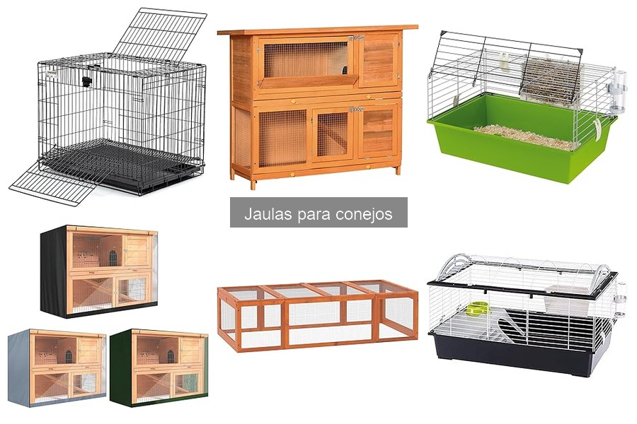 Ventajas y Desventajas de las Jaulas para Conejos