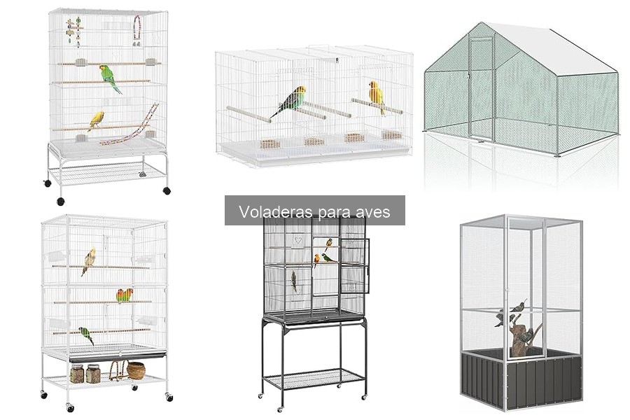 Ventajas y desventajas de las voladeras para aves