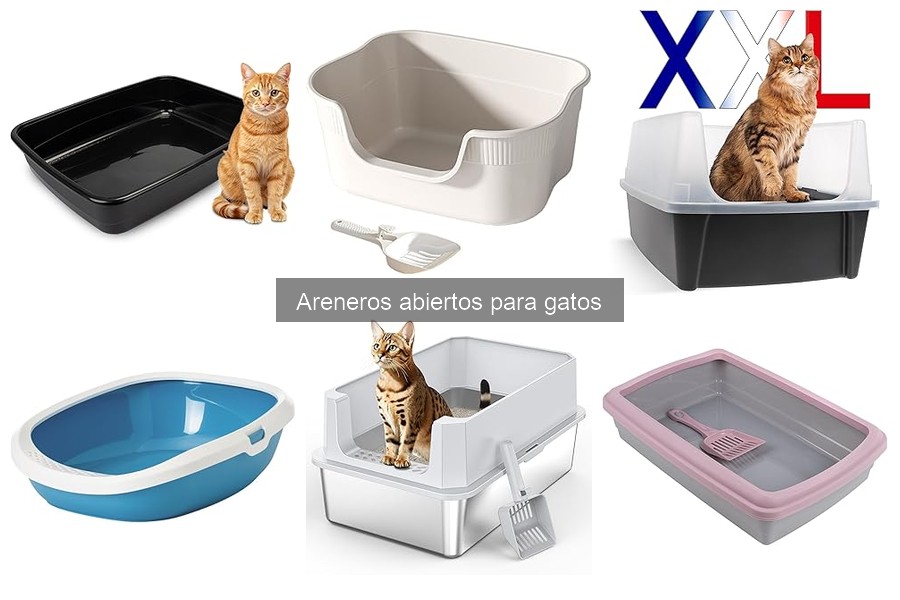 Ventajas y desventajas de los areneros abiertos para gatos