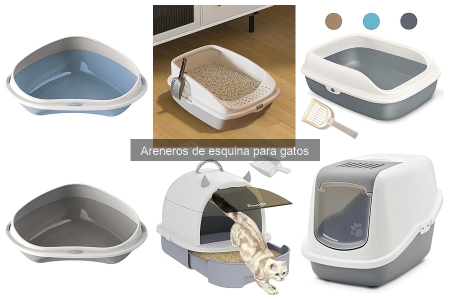 Ventajas y Desventajas de los Areneros de Esquina para Gatos