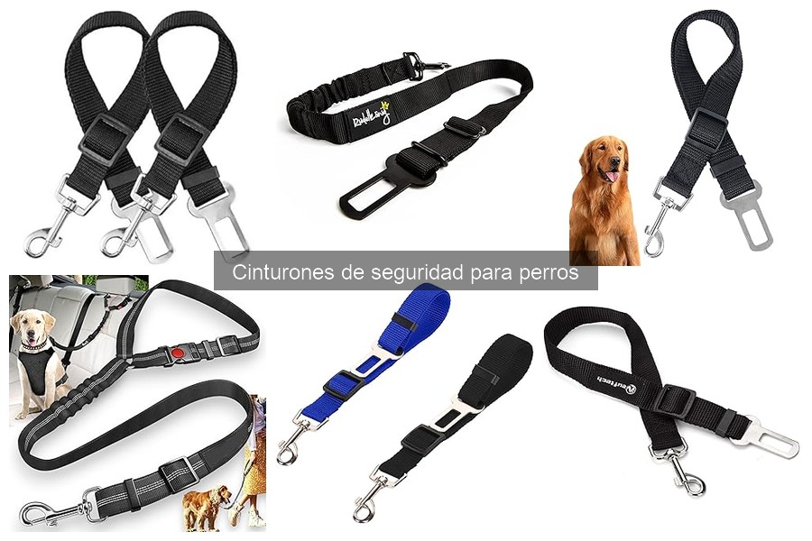 Ventajas y desventajas de los cinturones de seguridad para perros
