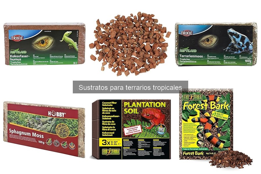 Ventajas y desventajas de los sustratos orgánicos en terrarios