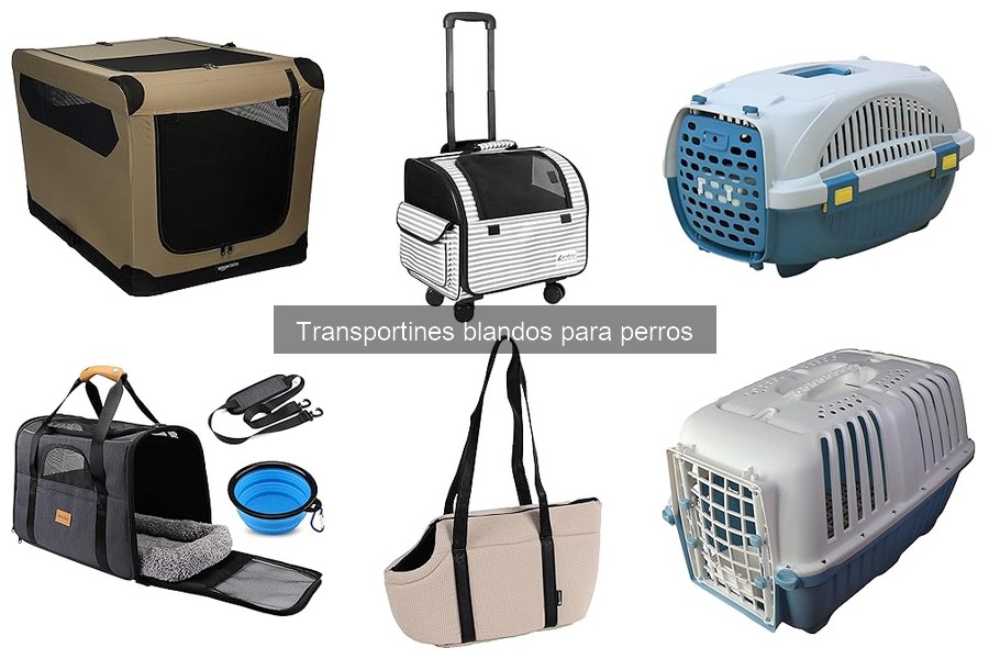 Ventajas y desventajas de los transportines blandos para perros