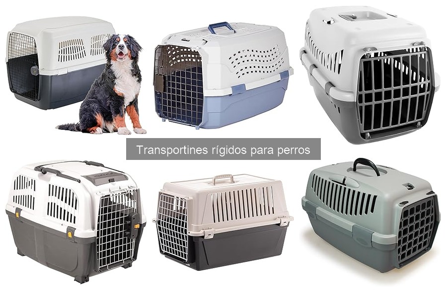 Ventajas y desventajas de los transportines rígidos para perros