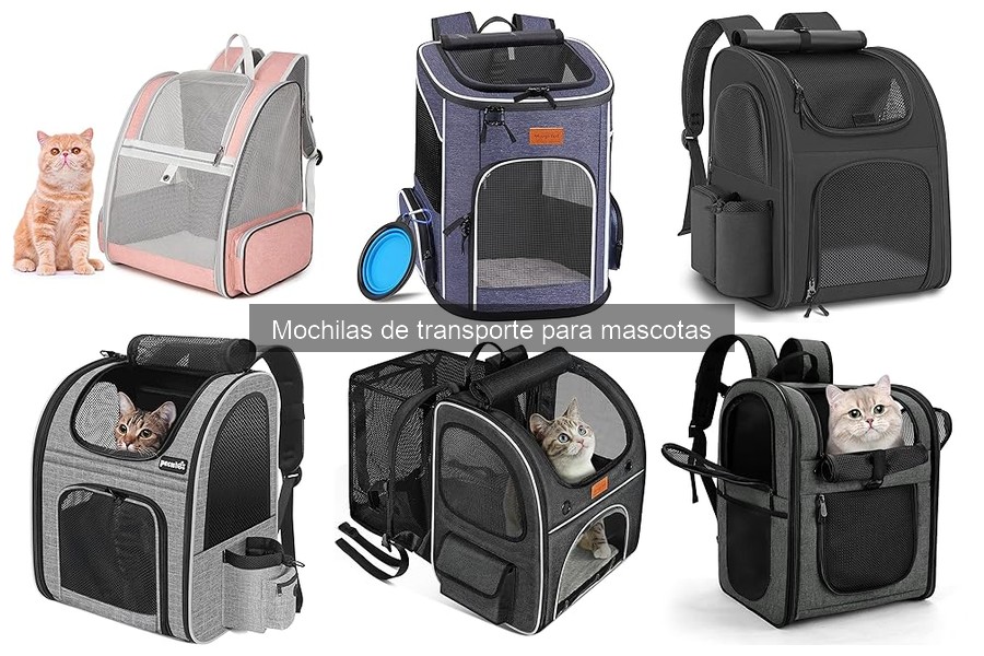 Ventajas y desventajas de mochilas de transporte para mascotas