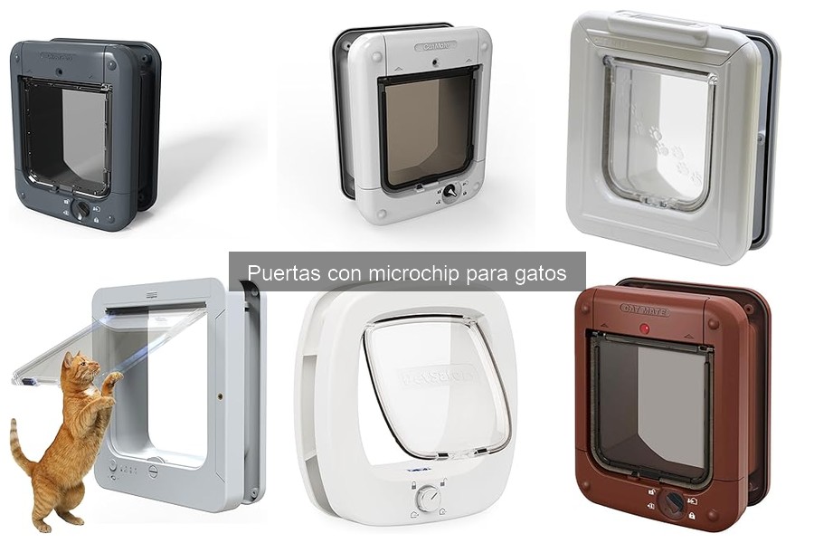 Ventajas y Desventajas de Puertas con Microchip para Gatos