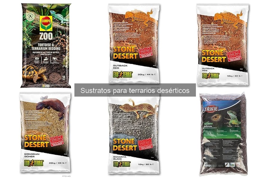 Ventajas y desventajas de sustratos para terrarios desérticos