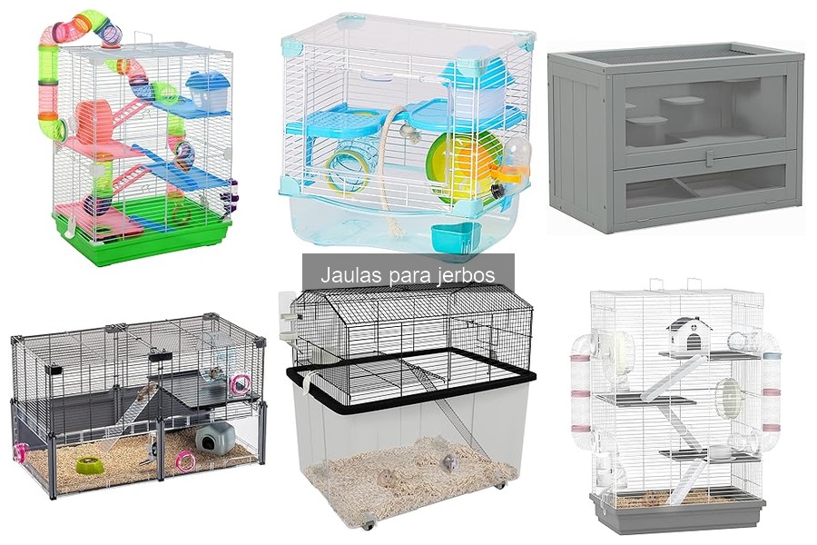 Ventajas y Desventajas de Usar Jaulas para Jerbos