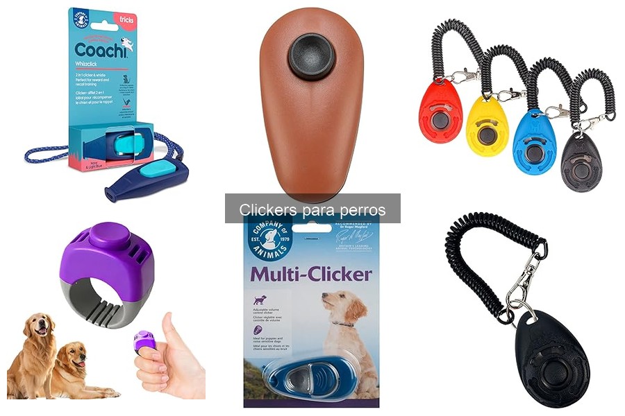 Ventajas y desventajas del clicker en el entrenamiento canino