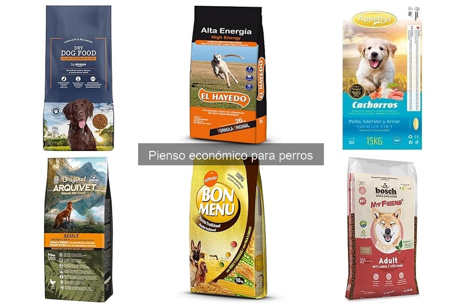 Ventajas y desventajas del pienso económico para perros