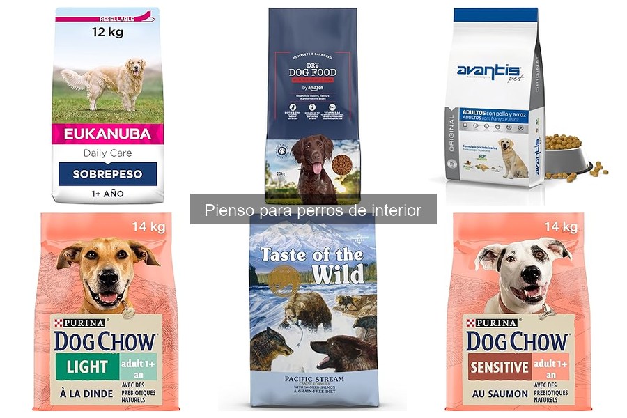 Ventajas y Desventajas del Pienso para Perros de Interior